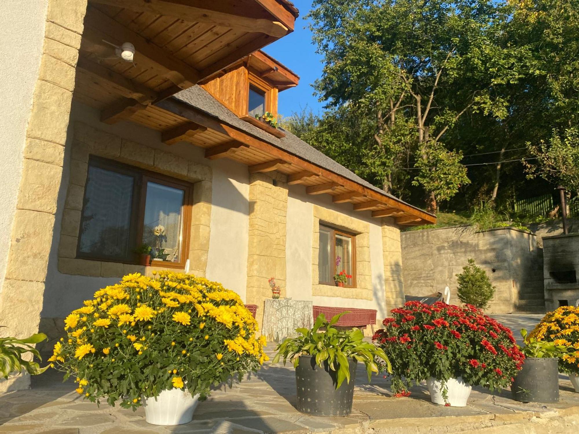 Casa Cu Sindrila Villa Valenii de Munte Exterior photo
